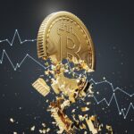 Renowned Economist Denounces Bitcoin as a Failed Currency