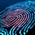 US Court Rules Cops Can Force Suspects to Unlock Phones with Thumbprints